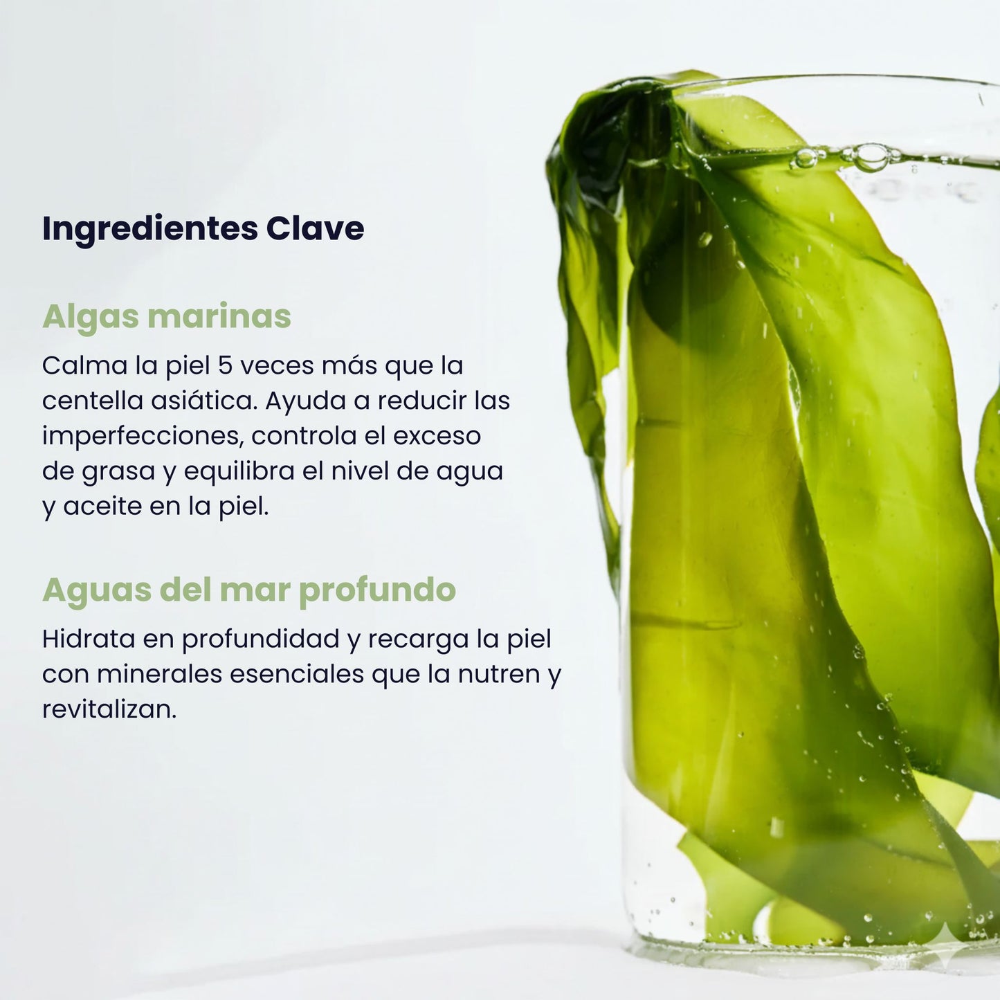 Mascarilla calmante de algas marinas